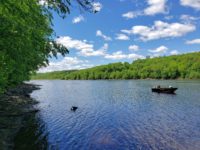 Developer cancels plans for St. Croix Falls development