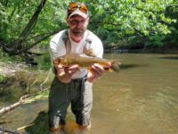 Rough Fishing, Part 1: Rivers rich in redhorse