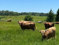 St. Croix Valley farmers launch initiative to promote local food and agriculture