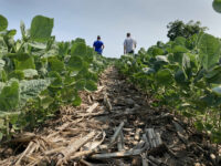 Federal funds help farmers fix fields to reduce runoff to St. Croix River