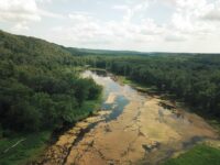 The good, the bad, and the algae: Aquatic plants can be helpful or harmful