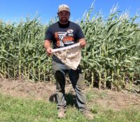 I see London, I see France, farmers buried underpants to demonstrate conservation benefits