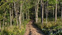 New walking trails now open along Valley Creek in Afton