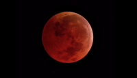 Afton State Park phenology, October 28 to November 10, 2022 redmoon