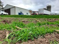 Farmers invited to learn what works for improving soil health in St. Croix region
