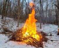 National Park Service to burn brush piles