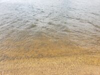 Input invited on Wisconsin water quality monitoring