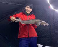Japanese exchange student successful with sturgeon his first time ice fishing
