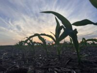 A farm, a family, and a lifetime of learning