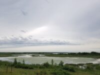 Input invited on Glacial Lake Grantsburg water management plan