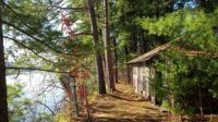 Artist-At-Pine-Needles-Dunn-Cabin