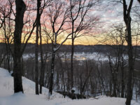 Walking through waning winter