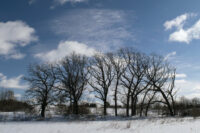 Afton State Park phenology March 3 to 9, 2023