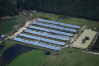 Proposed hog facility denied again due to incomplete information