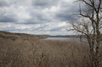 Afton State Park phenology, April 7 to 13
