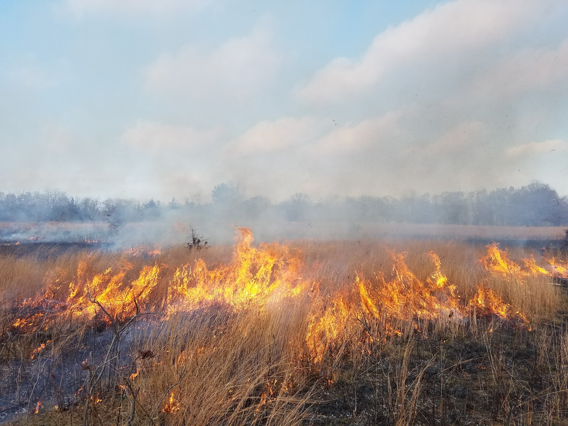 National Park Service to conduct prescribed fires, April 24 – May 31