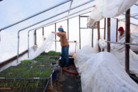 Foxtail Farm grows good food from St. Croix Valley’s special soil