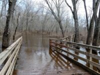 Flood photos: The slow descent from a top seven flood