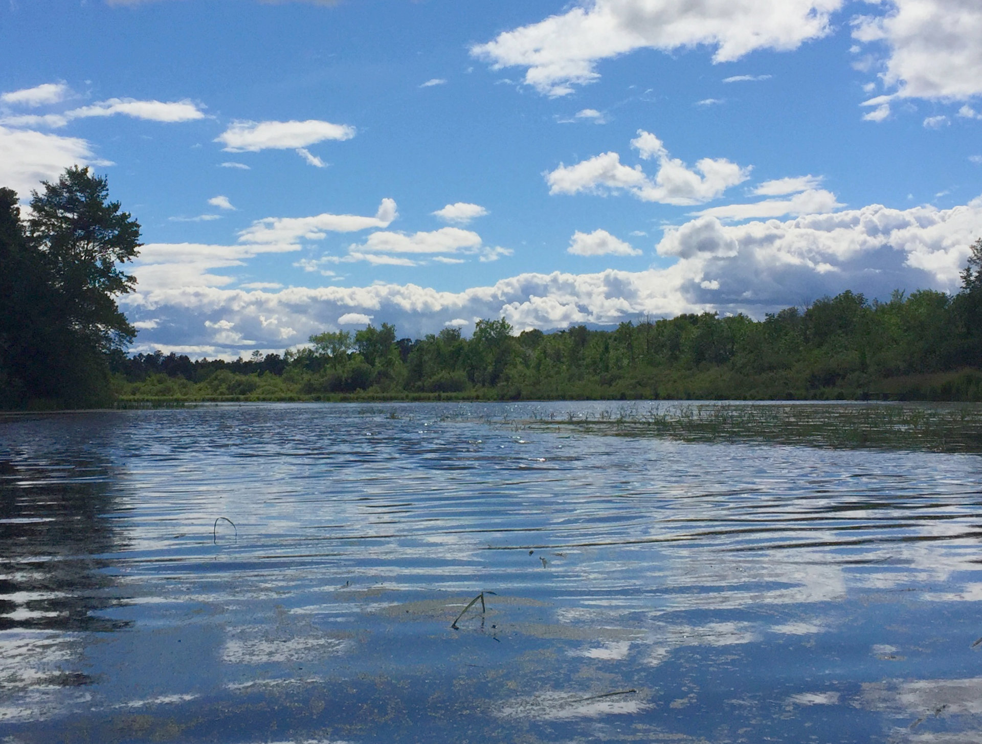 New conservation effort focuses on underappreciated St. Croix tributary