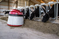 Large dairy operation in Willow River watershed seeks to renew permit