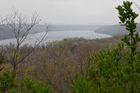 Afton State Park Phenology May 12 to May 18 2023