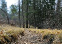 Hiking to the headwaters on a prehistoric path