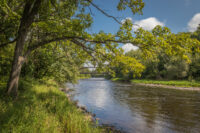 Minnesota DNR receives additional land donation along St. Croix River