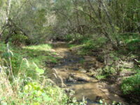 Afton State Park phenology, June 30 to July 6