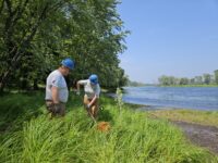 Historic habitat: Old sawmill is site of modern ecological restoration