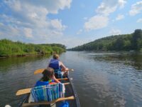 Paternal paddling