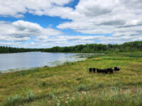 Third-generation Pine County farmer recognized for conservation work