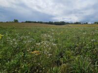 Newly protected lands along the St. Croix help water and wildlife