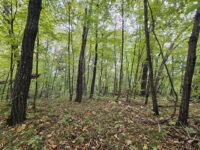 St. Croix conservation coalition invites landowners to participate in protection program