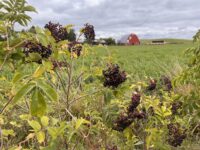 River Road Ramble encourages exploration of historic region