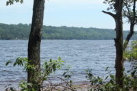 Afton State Park phenology September 8 to 14