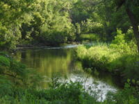 Kinnickinnic River Land Trust to host nature, health, and equity events