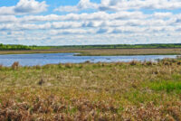 Report explains why groundwater levels have risen near Crex Meadows wetlands