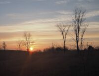 Afton State Park phenology, October 27 to November 9