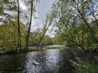 Forum focuses on western Wisconsin water worries