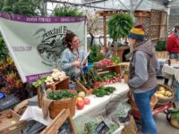 St. Croix Valley Food Alliance announces winter farmers’ market dates