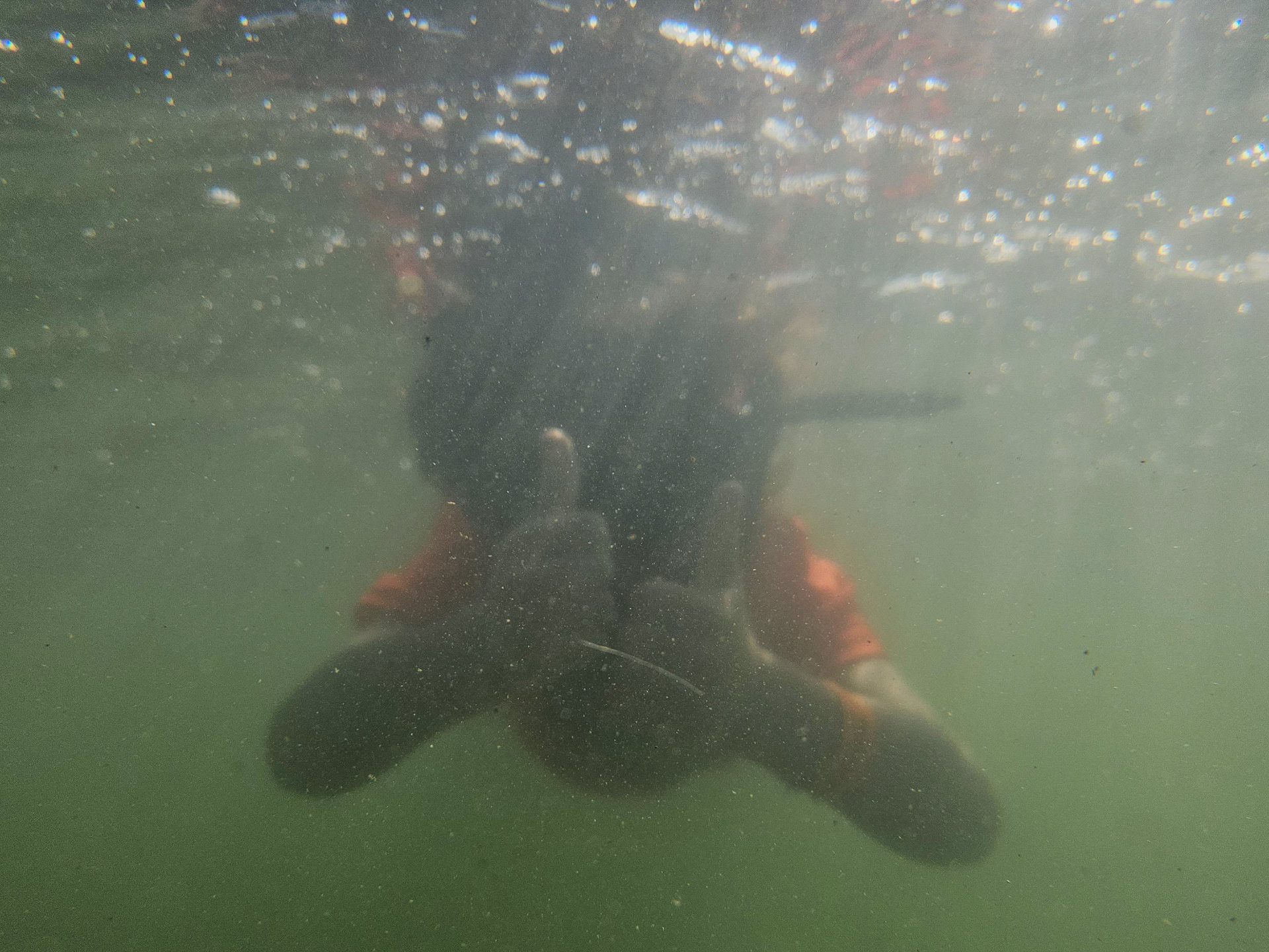 CarnelianMarineSt. Croix Watershed District recognized as 2023