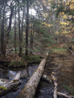 Conserved property near Hayward is an ever-evolving haven for biodiversity