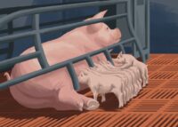 The businessman: Pig farm developer gains little trust in Wisconsin town. He doesn’t particularly care. Final Version 16.jpg