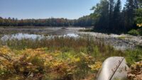 Conservancy expands permanently protected area along Namekagon tributary