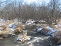 Proposed project seeks to reduce erosion and improve trout habitat in Brown's Creek browns-creek-1