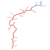 Nothing else like it