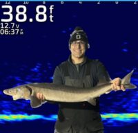 Watch: Ice angler catches a baker’s dozen of sturgeon on the St. Croix