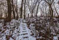 Afton State Park phenology, January 17 to 30