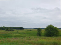carlso-avery-WMA