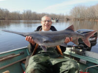 Fish surveys turn up surprising species in St. Croix and tributaries